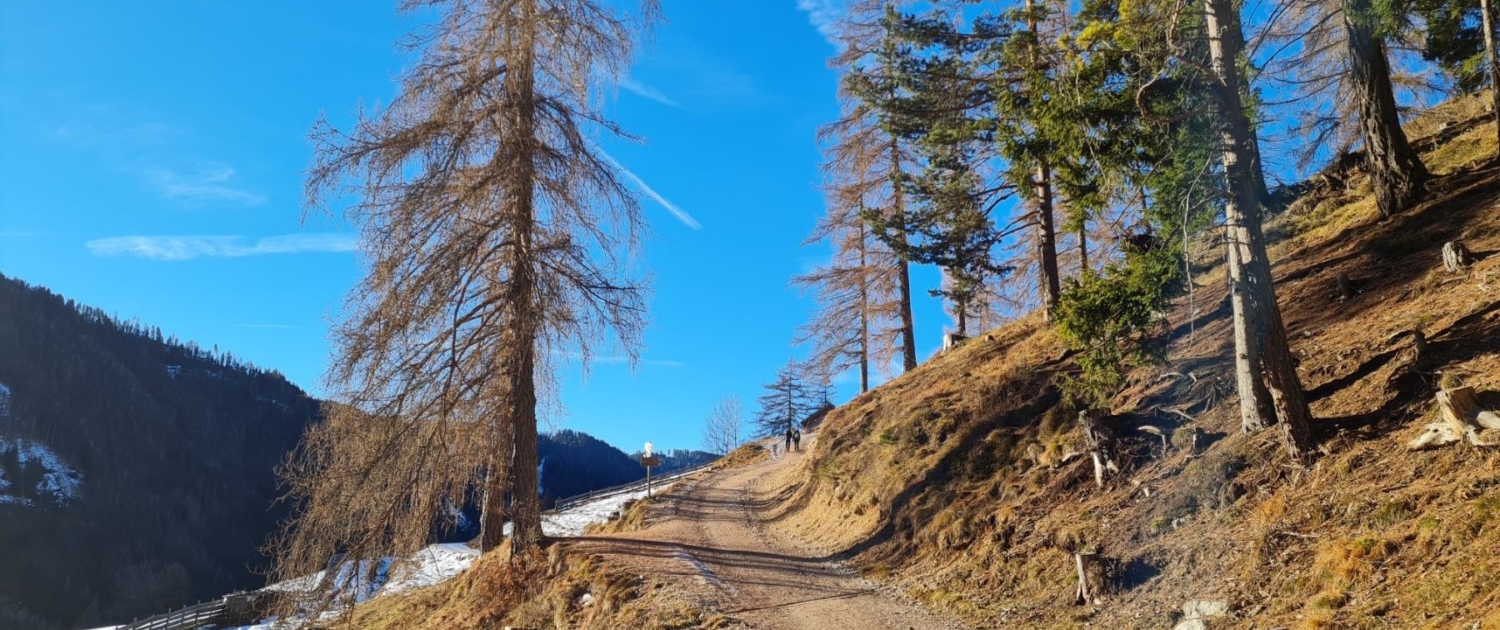 Wanderung Völseggspitze - Start Forstweg