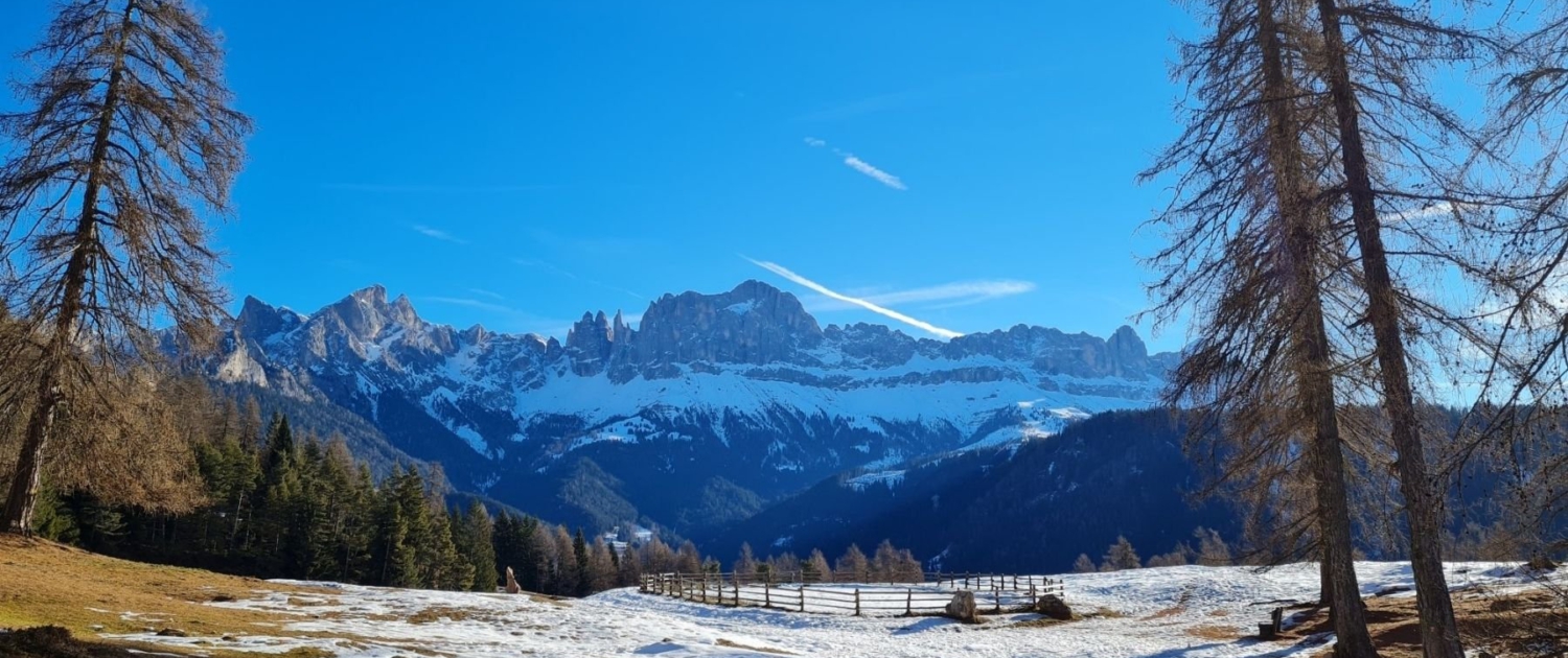 Wanderung Völseggspitze - Alm Wunleger