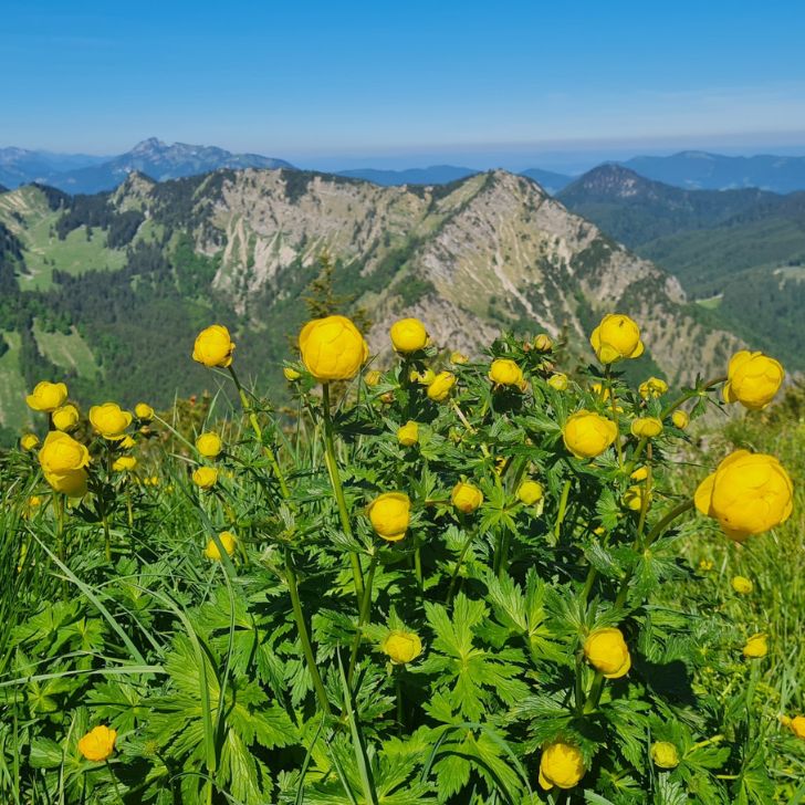 Wanderung auf den Außerraschötz