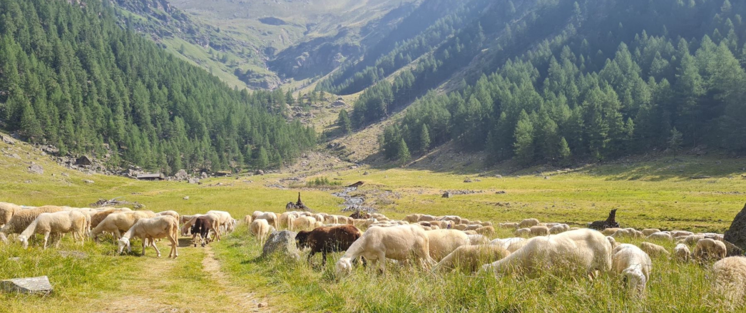 Trentino - Wanderung zu den Saent Wasserfällen: Natur pur