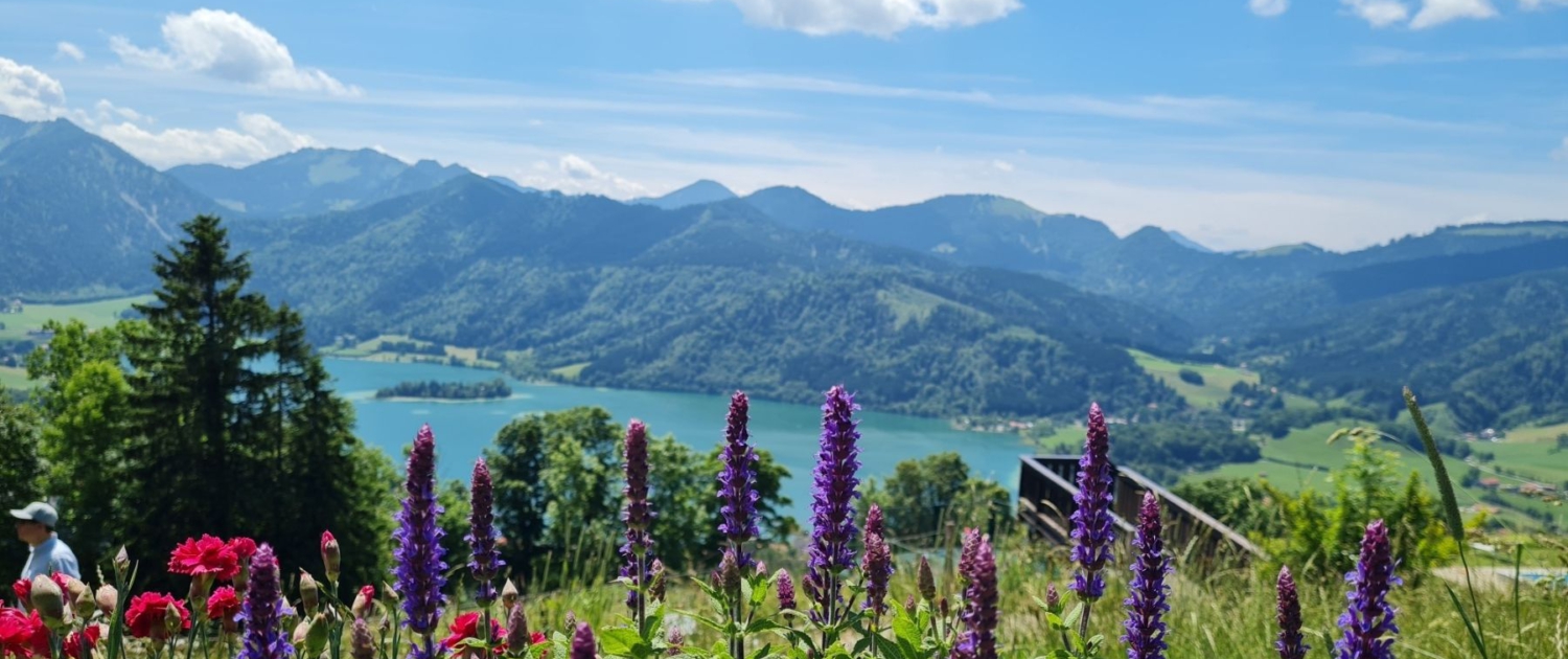 Schliersbergalm - Blick zum Schliersee